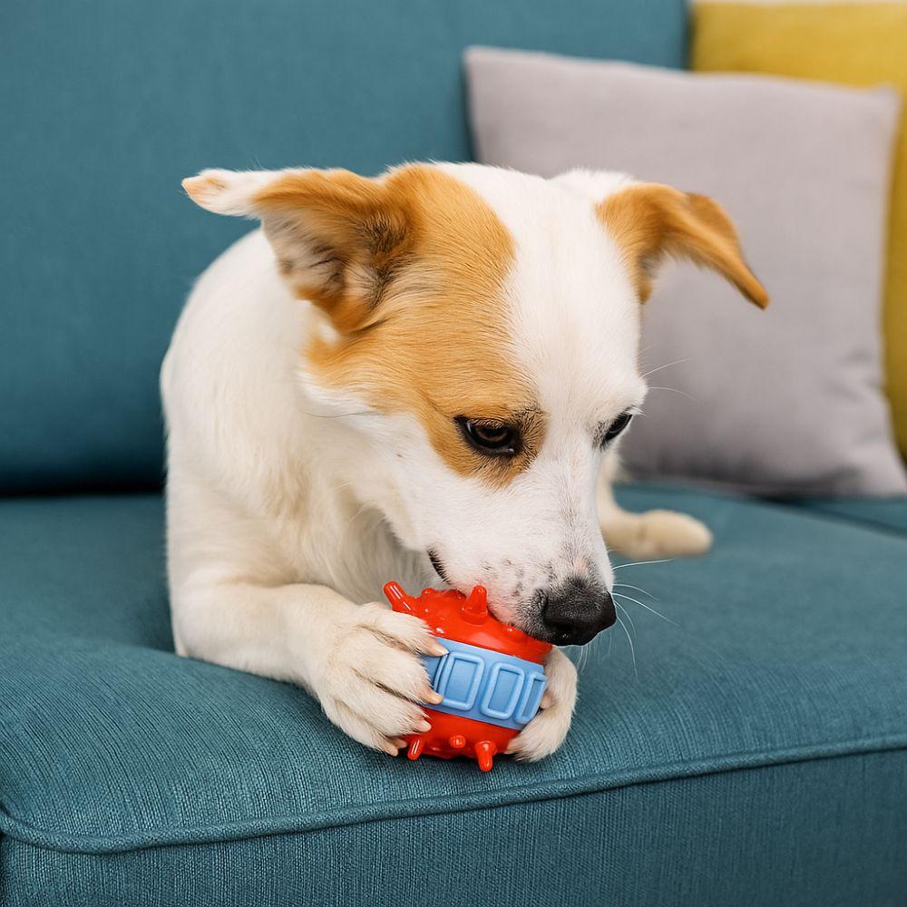 4 Pcs/set Wear Resistant Interactive Dog Toys TPR Teeth Cleaning Toy Self-Entertainment