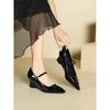 Fashion Pointed-toe Women's High Heels for Autumn 2025 New Versatile Shallow Mouth Wedge Mary Jane Single Shoes