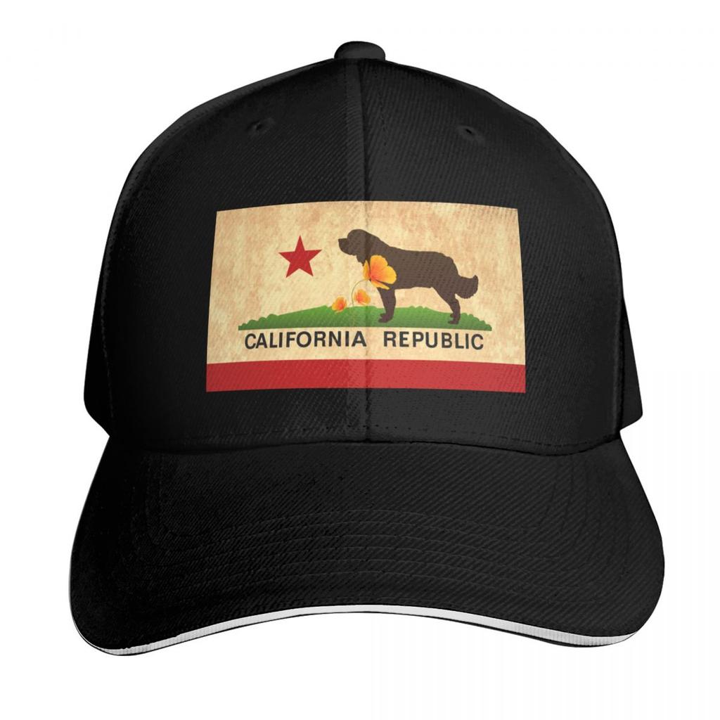California Flag Face Mask Baseball Cap Golf sun hat hiking hat tactical cap Ladies Unisexs