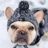 Warm Winter Hats for Dogs, Windbreaker, French Bulldog Knitting, Hat for Chihuahua, Softball, Hat for Pets, Accessories for Puppies