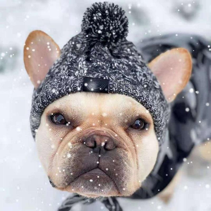 Warm Winter Hats for Dogs, Windbreaker, French Bulldog Knitting, Hat for Chihuahua, Softball, Hat for Pets, Accessories for Puppies