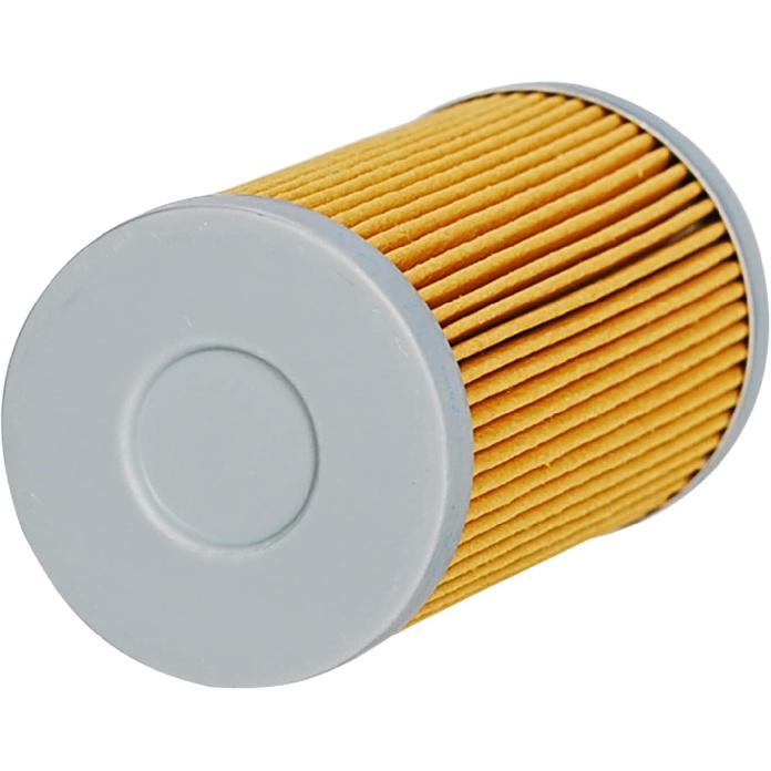 (Pack of 5) Fuel Filter Element 1A001-43160 15521-43160 Compatible with Kubota D&V Series Engine L235 L2250 L2650 L275 L2850 L2900 L2950 L2650 L4300