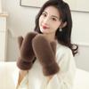Winter New Thickened Plush Warm Gloves Fashionable Simple Solid Color Thermal Cold Weather Handwear