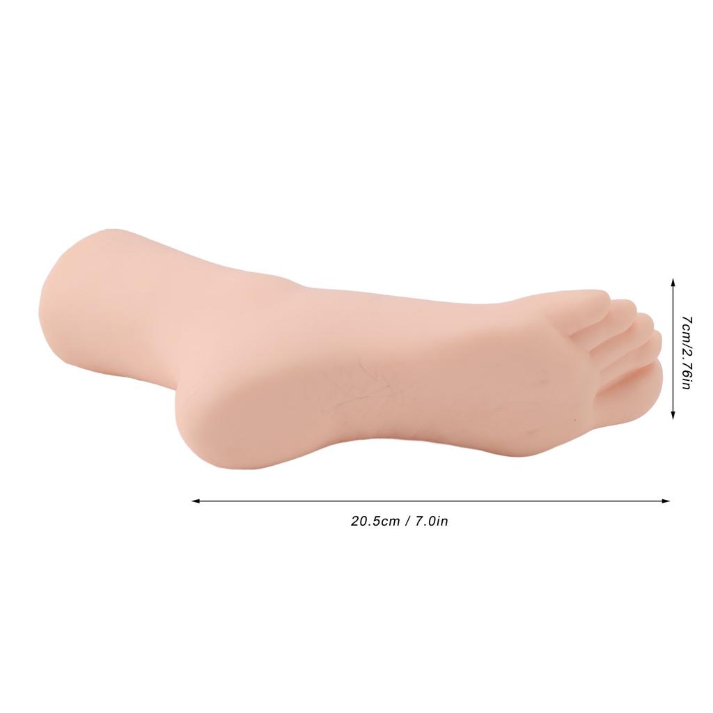 Weibliches rechtes Fußmodell Simuliertes Fußmodell Realistisches Fußmodell für Fußmassage Socken Schuhe Display