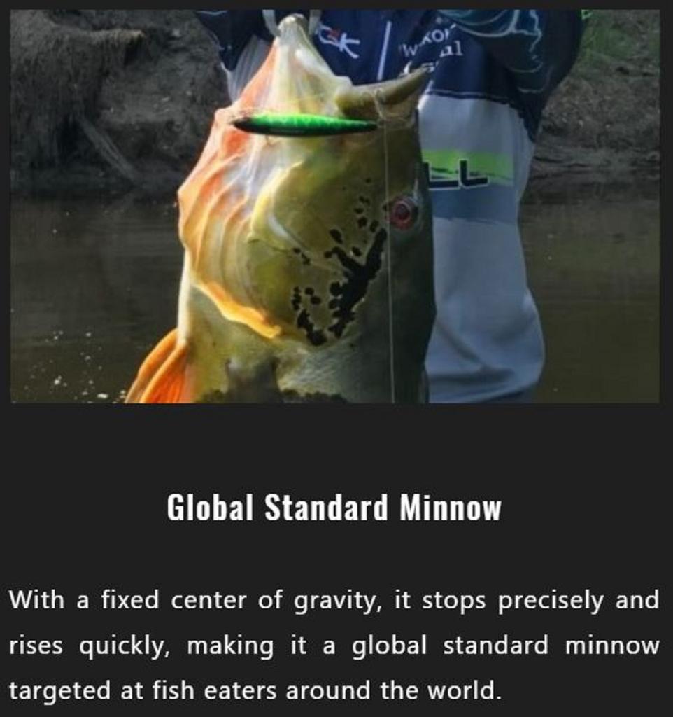 Jackall Squad Minnow 65SP Suspend Lure HL Perch (2249)