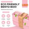 3-v-1 Přihrádkový pšeničný slámový bento box Opakovaně použitelný jídelní nádobí Nádoby na oběd Nádoby na jídlo a svačinu Přenosný obědový box