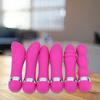 6 Style Powerful Rose-red Vibrating G-Spot Vibrator Massager Dildo Vibe Sex Toys
