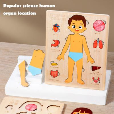 Geliştirici ve Eğitici Oyuncaklar – Eğitici Oyuncaklar