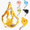 Dog Leash Slip Lead Vest with Lovely Flower Vest Rope 4ft Long Pet Strong Training Walking Swimming Hiking Lead