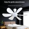 Silent Breeze Hanging Mini Ceiling Fan with Mosquito Net for Dorms and Beds