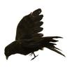 Halloween Crow Realistic Looking Super Soft Feather Black Feathered Crow Halloween Decor for Home
