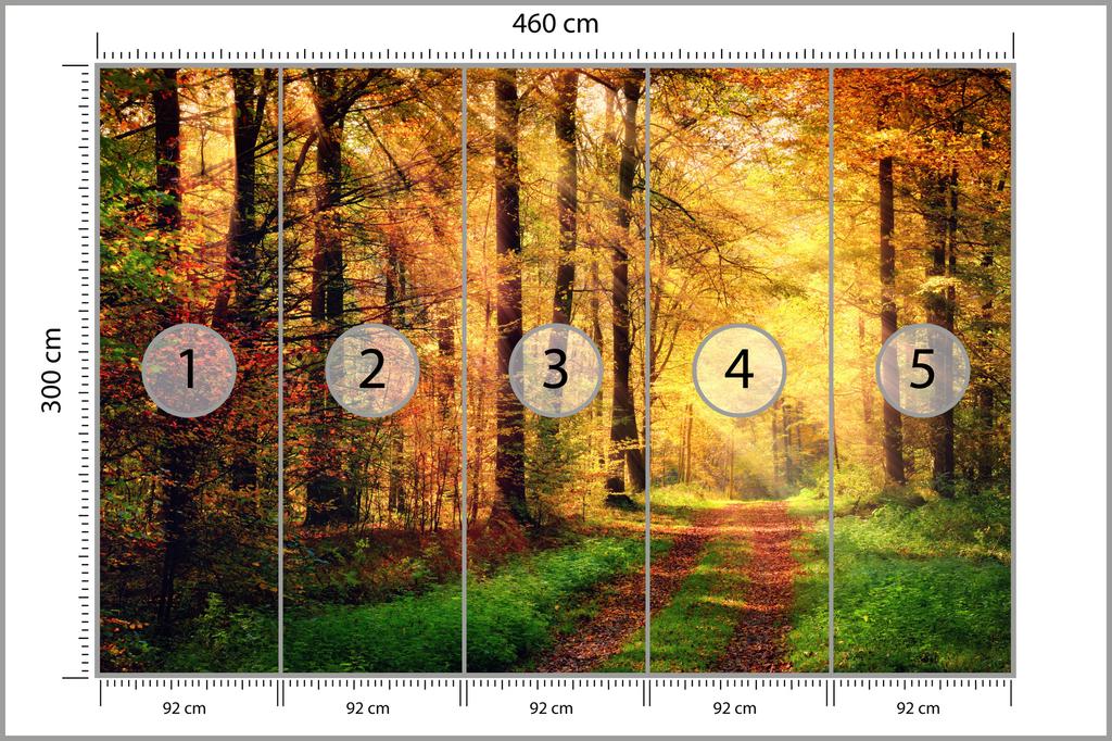 Photomural Forest Autumn Colours Washable Fleece 460x300