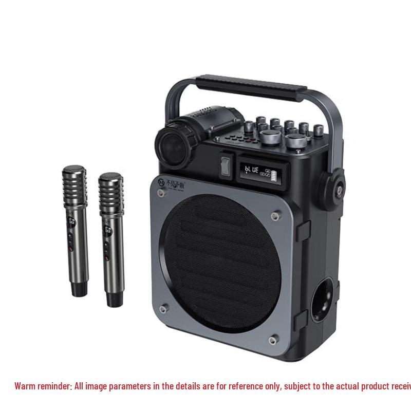 Shidu D6 High-Power Portable Speaker CN Plug (adapter Included)