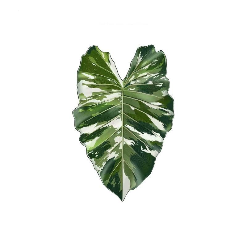Acrylic Monstera Leaf Coaster Tropical Green Plant Cup Mats Anti-Slip Cup Holders Countertop Protector Kitchen Drink Coasters