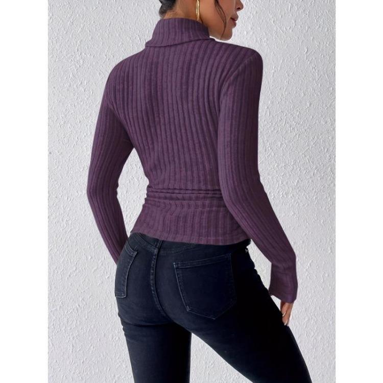 Slim Elegant High Neck Sweater for Women Long Sleeve Solid Color Winter Autumn Clothing