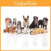 Pvc Saint Bernard Model With Realistic Animal Figures For Collectors And Dog Enthusiasts