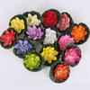 Dekor Blume Teich Aquarienpflanze Schwimmende Lustige Pflanzen 5* Wassergarten