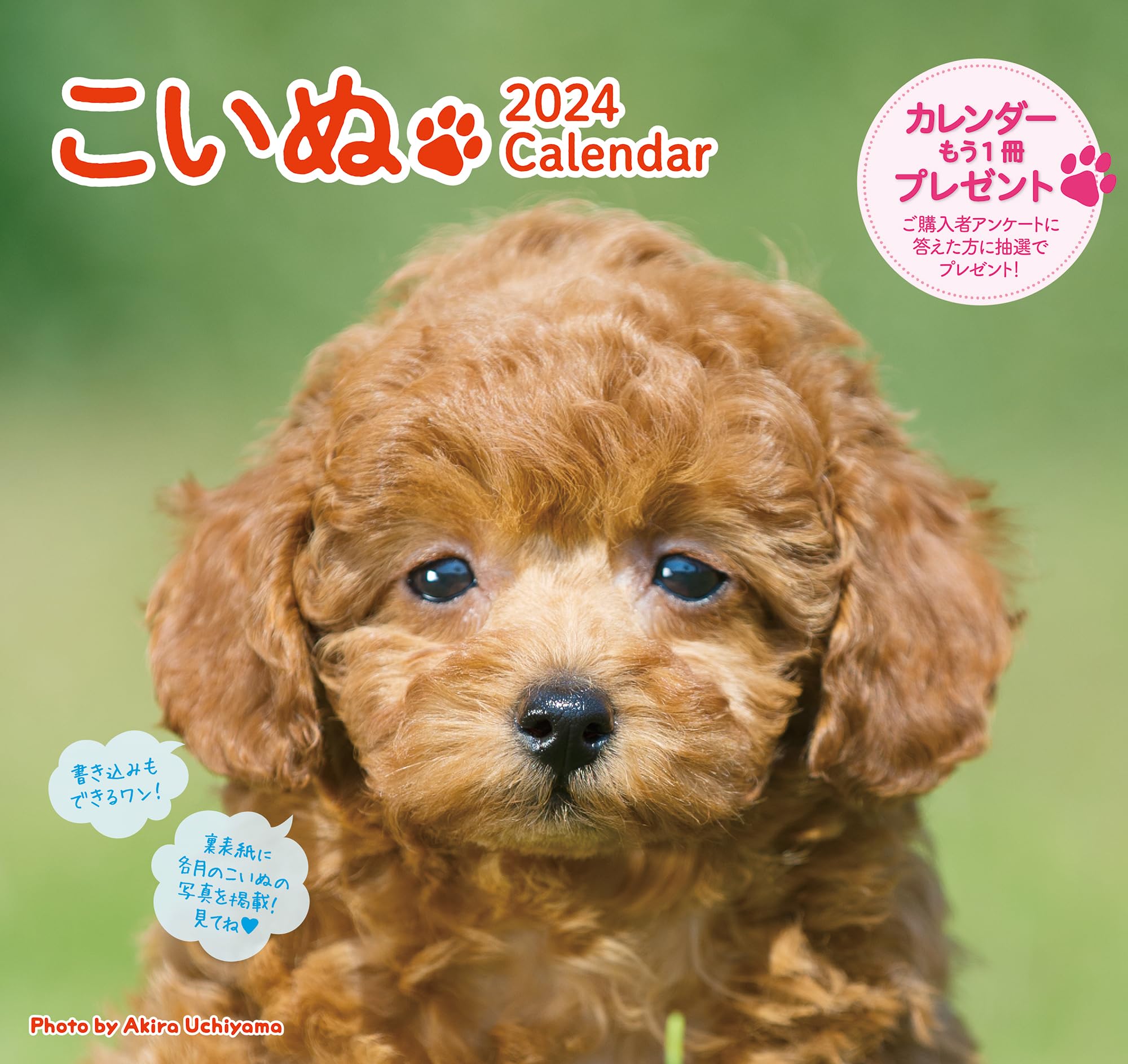 

2024 Calendar Koinu (Wall Hanging/Month Turning) Dog ([Calendar])