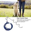 Outdoor Pet Dog Spiral Ground Stake Pile Double Hook Steel Wire Traction Chain(blue Dog Pile Steel Small Size)