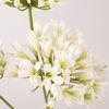 Falsche Agapanthus-Blumen Zweig Langer Zweig Künstliche Blume Neue Falsche Lotusblume Foto Requisiten