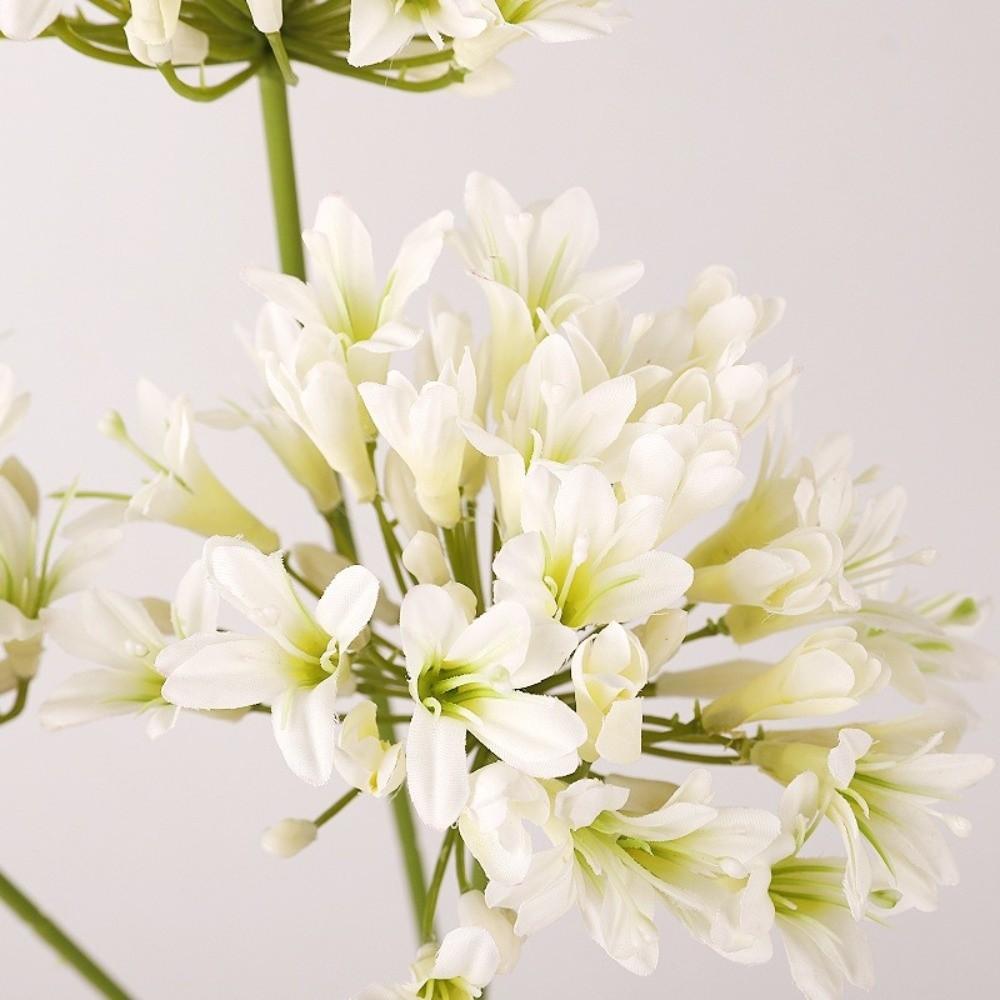 Falsche Agapanthus-Blumen Zweig Langer Zweig Künstliche Blume Neue Falsche Lotusblume Foto Requisiten