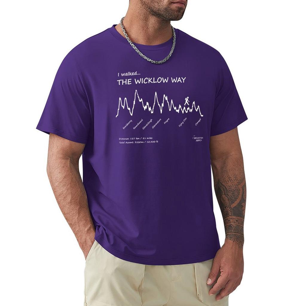 I Walked The Wicklow Way - Elevation Profile T-Shirt Shirts Graphic Tees Vintage Clothes Shirts Graphic Mens Clothes