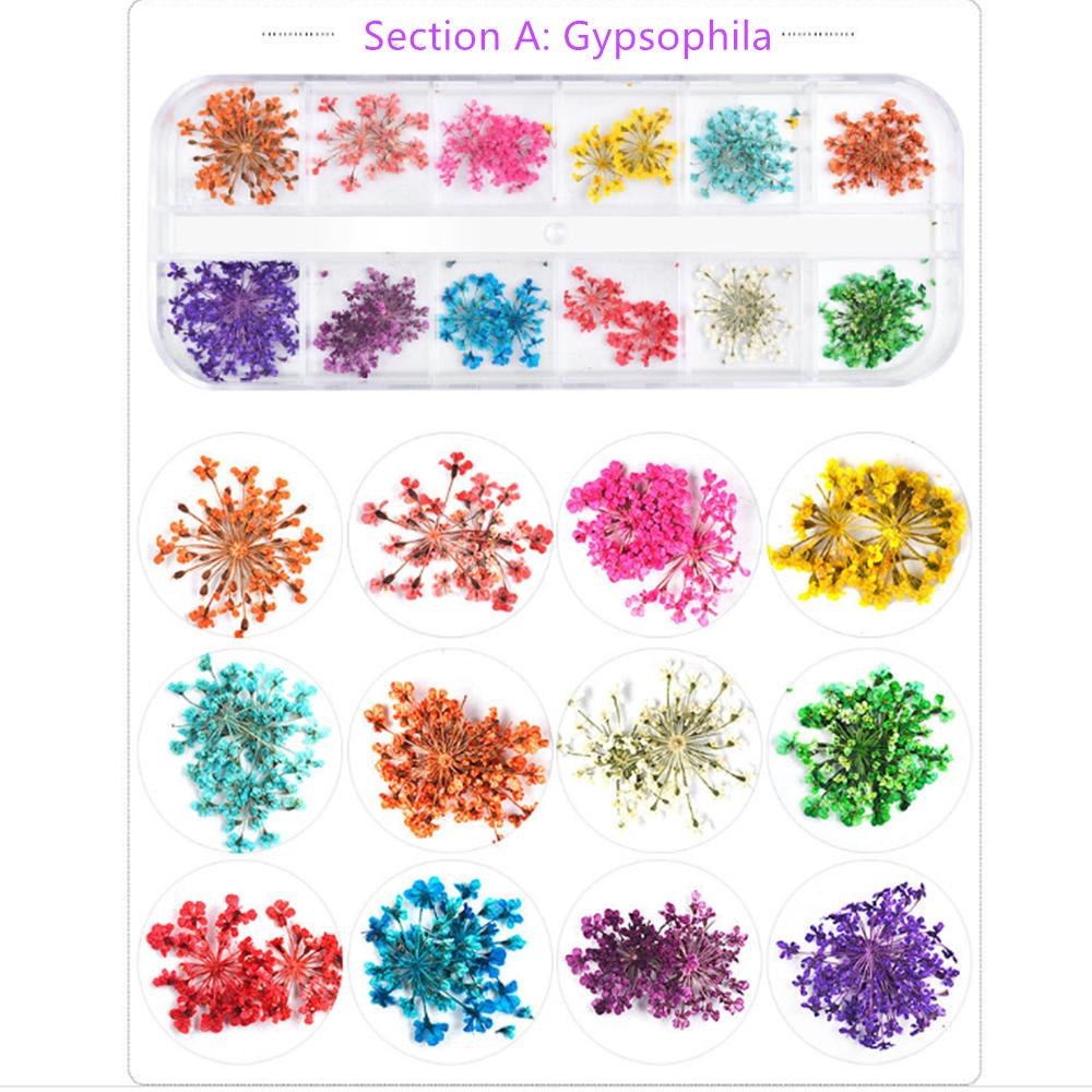 Mix Dried Flowers Nail Decorations Jewelry Natural Floral Leaf Stickers 3D Nail Art Designs Polish