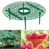 Strawberry Plant Support Tray: Anti-Lodging Rack for Home Gardening