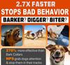 Release Pet Dog Repeller Ultrasonic Dog Training Device Rechargeable Anti Dog Bark Deterrent Device With LED Flashlight