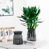 Mini Self Watering Flower Pot Fish Tank Transparent Plastic Plant Pots Self Watering Planter Pot Vase For Home Decoration