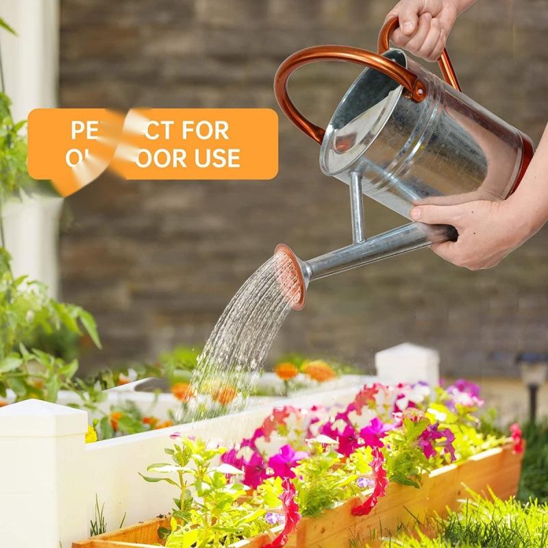 4L Premium Dual-Use Watering Can for Flowers (European & American Style)