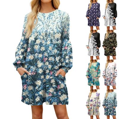 Fashion Womens Long Sleeve A Line Dress Fall Casual Pullover Crewneck Loose Fit Dress With Pockets