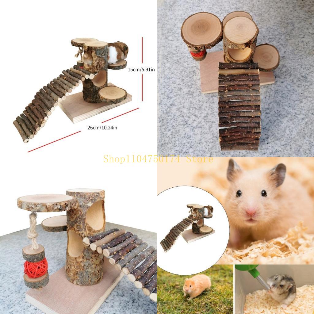 Safe and Engaging Climbing Ladder Toy for Hamster Suitable for Creating a Stimulating Environment for Exercise top sale China Mainland