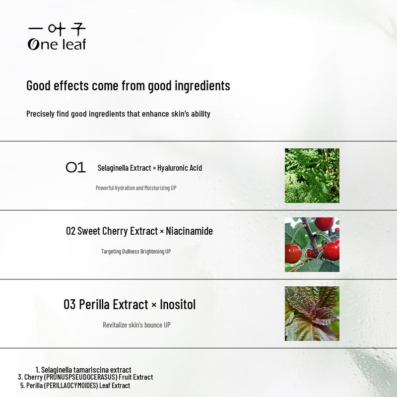 One Leaf Genius Hydrating Facial Mask