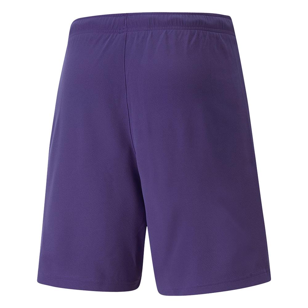 Puma Mens TeamRISE Sweat Shorts