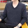 Men's Thick 100% Wool V-Neck Pullover Sweater