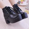 European Style Chunky Heel Lace-up Ankle Boots - Women's Platform Anti-Typhoon High Heel Boots for Spring/Autumn
