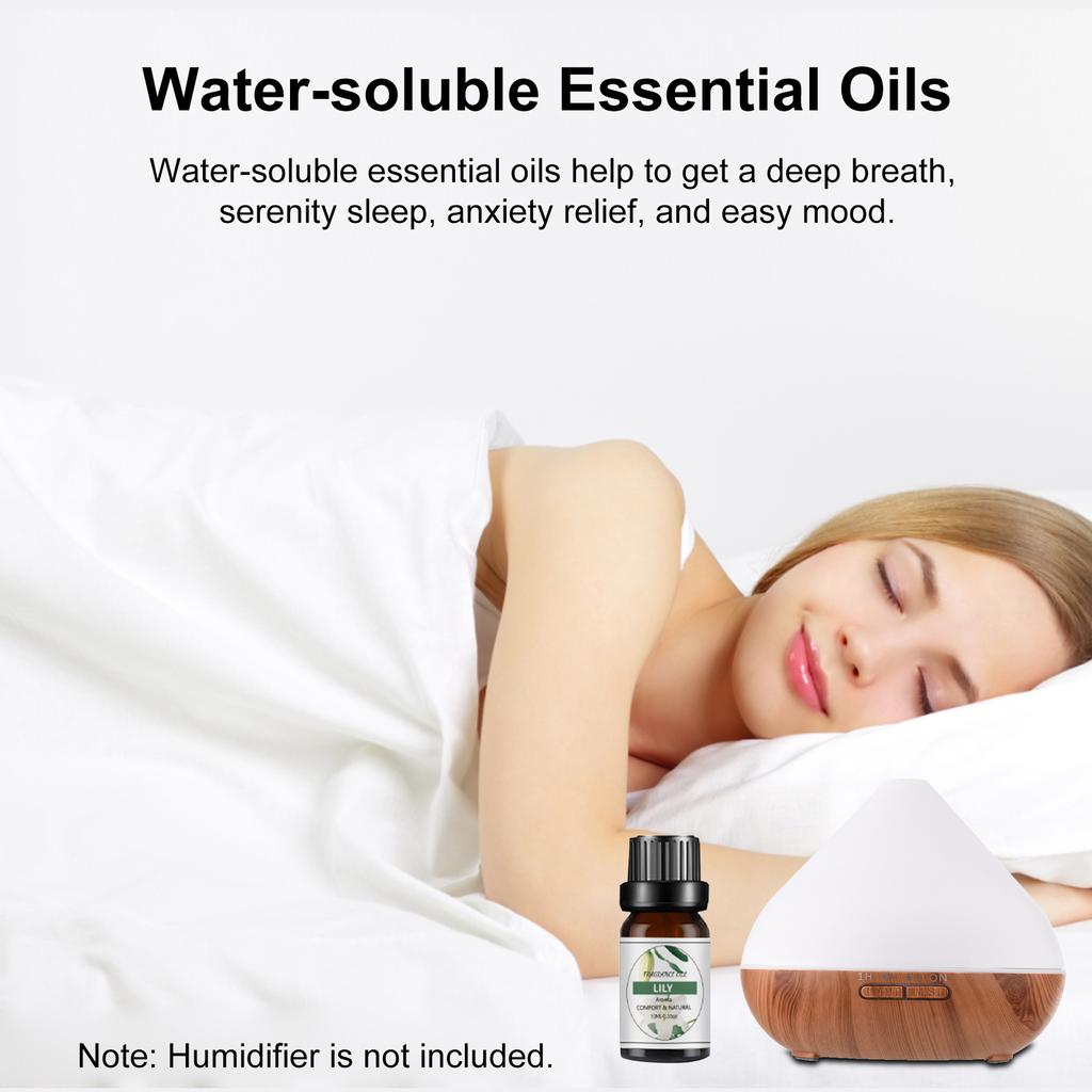 6PCS Water Soluble  therapy Essential Oil for Humidifiers 10ML