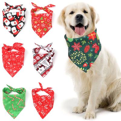 Giyim ve ayakkabı – Köpek Aksesuarları
