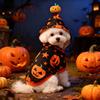 Star Pattern Pet Clothing Halloween Pumpkin Dog Hoodie, Sweatshirt Autumn Pullover, Pullover Hooded T-shirt for Small Medium Dogs Cats Hoodie