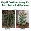 Fertilizzanti Spray Professionali per Cactus Nebulizzazione per Giardinaggio Miscela Delicata Nebulizzazione per la Salute Nutrienti per la Crescita delle Foglie