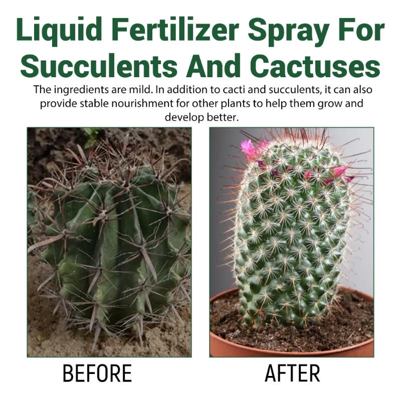 Fertilizzanti Spray Professionali per Cactus Nebulizzazione per Giardinaggio Miscela Delicata Nebulizzazione per la Salute Nutrienti per la Crescita delle Foglie