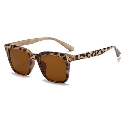 European & American Style Retro Sunglasses for Women and Men - Trendy, Face-Slimming, Outdoor Sun Protection