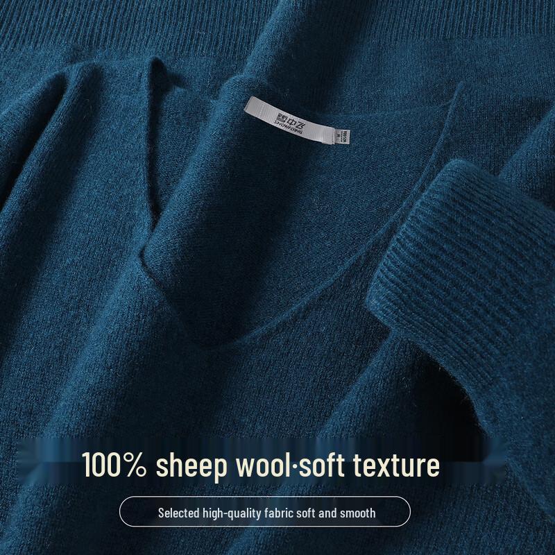 SNOWFLYING Women's 100% Merino Wool V-Neck Basic Knit Sweater