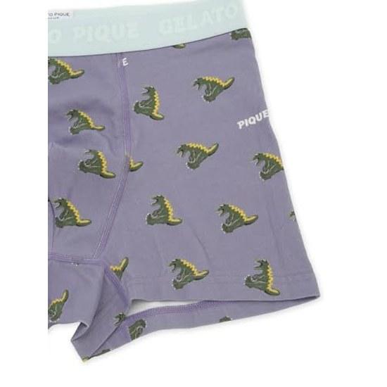 Gelato Pique HOMME Sleeping Dinosaur Pattern Underwear Box PMCP262923 Mens