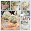 5/10Pcs Artificial Flowers Bouquet Plastic Gypsophila Fake Flower for Wedding Centerpieces Babys Breath Party Home Room Decor