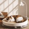 Stable Cat Scratch Board Round Teasing Cat Stick Interactive Cat Scratching Bed  Indoor Play