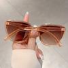 Casual Vintage Cat Eye Sunglasses Coated UV400 Sun Glasses Trendy Gradient Lens Protective Eyewear for Women & Men
