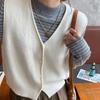 Knitted vest women's outerwear spring and autumn new style camisole layered and fashionable sleeveless sweater jacket