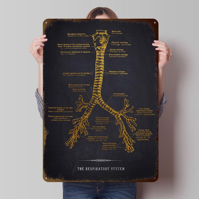 Respiratory System Tinplate Posters Customizable Wall Art Retro Vintage Metal Signs for Home Room Wand Deko Bar Accessories the